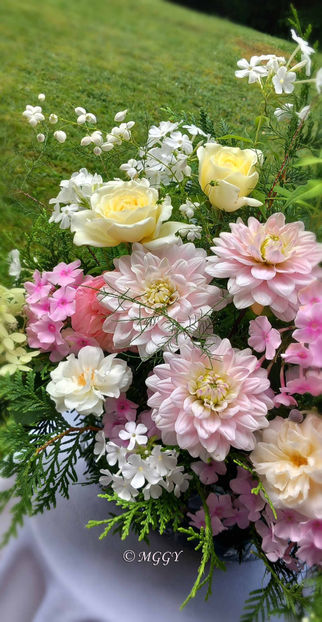 © - 01 - Floristica