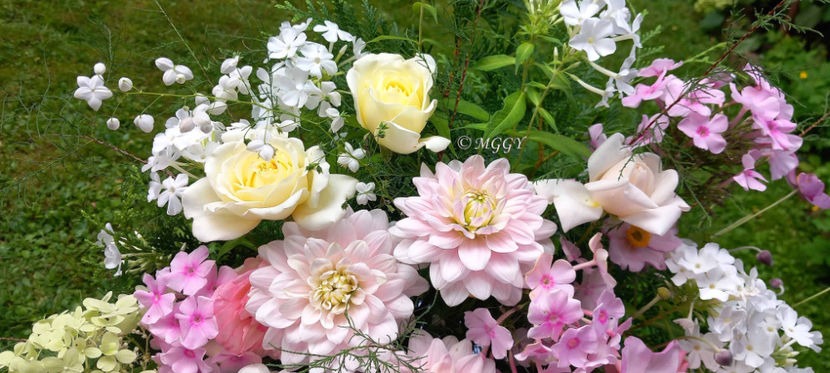 © - 01 - Floristica