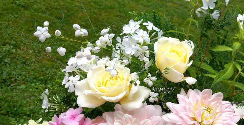 © - 01 - Floristica