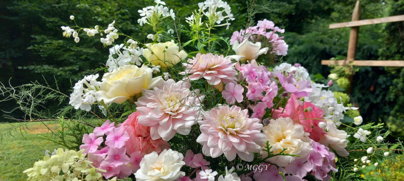 © - 01 - Floristica