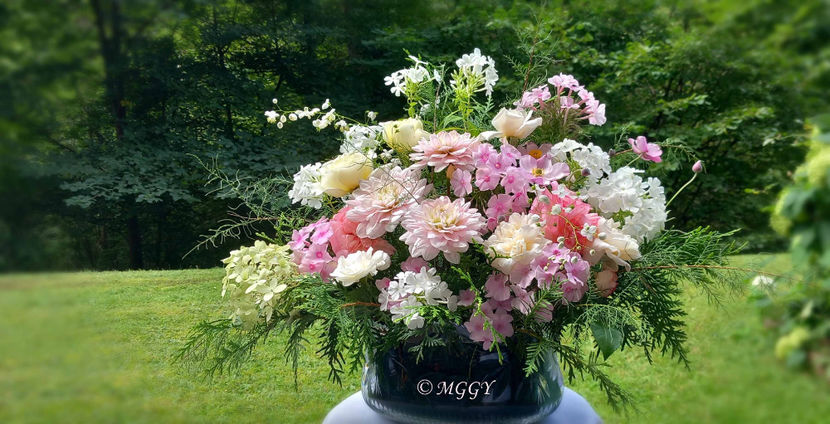 © - 01 - Floristica