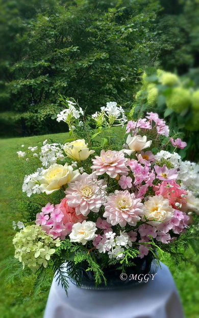 © - 01 - Floristica