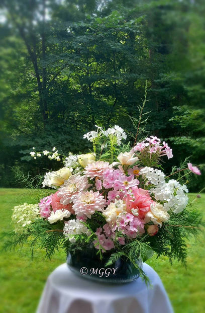 © - 01 - Floristica