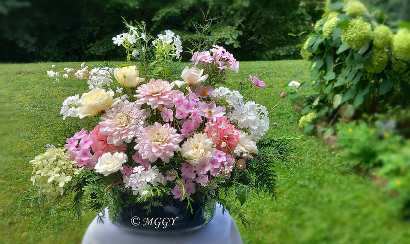 © - 01 - Floristica