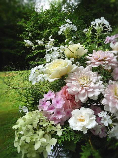 © - 01 - Floristica