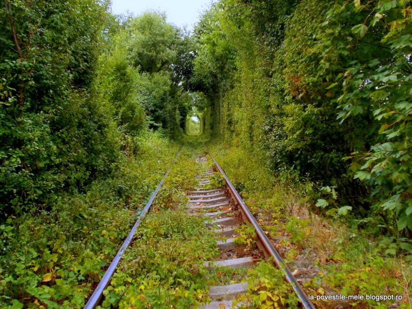  - POZE frumoase Ioniyyyss 2025!