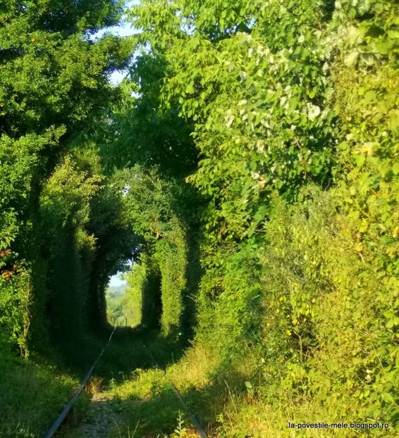 1609 mare - POZE frumoase Ioniyyyss 2025!