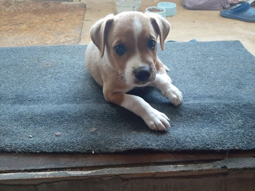  - POZE frumoase Ioniyyyss 2025!