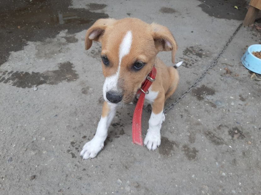  - POZE frumoase Ioniyyyss 2025!