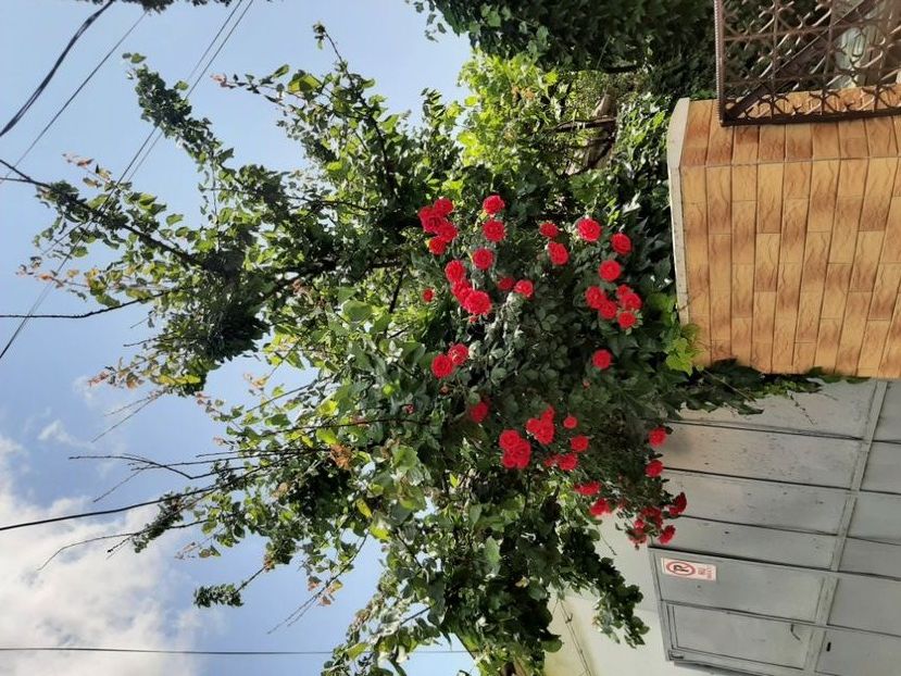  - POZE frumoase Ioniyyyss 2025!