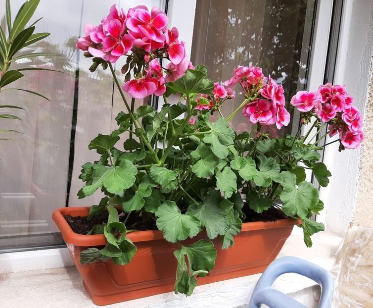  - POZE frumoase Ioniyyyss 2025!