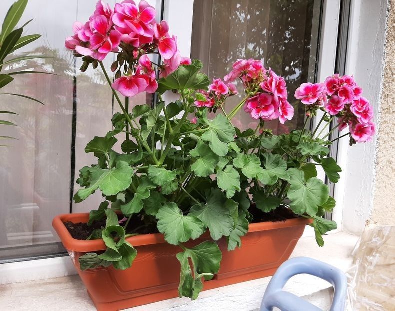 116122584 (1) - POZE frumoase Ioniyyyss 2025!