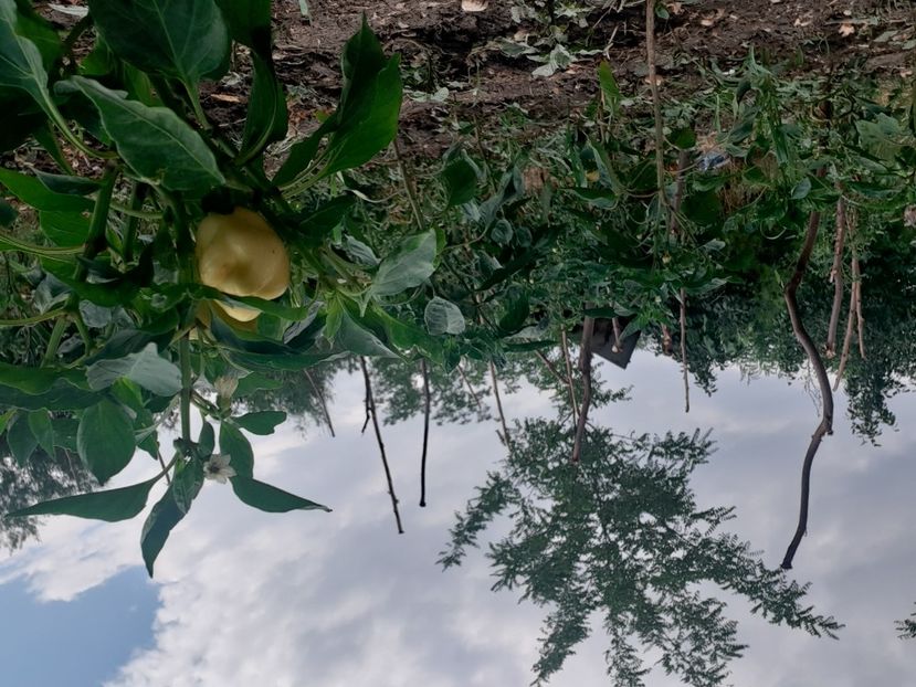  - POZE frumoase Ioniyyyss 2025!