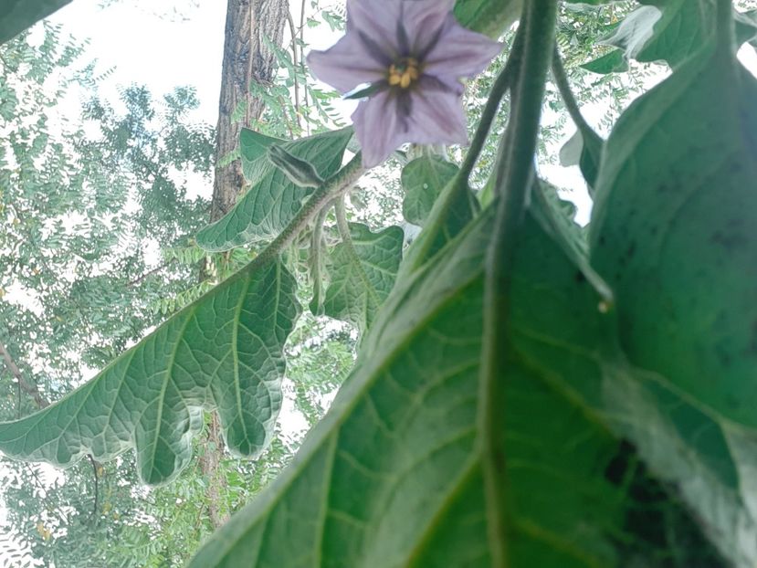  - POZE frumoase Ioniyyyss 2025!