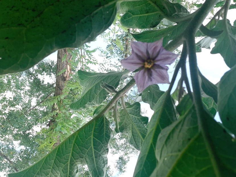  - POZE frumoase Ioniyyyss 2025!