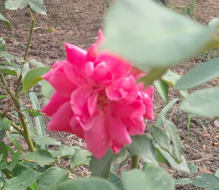  - POZE frumoase Ioniyyyss 2025!