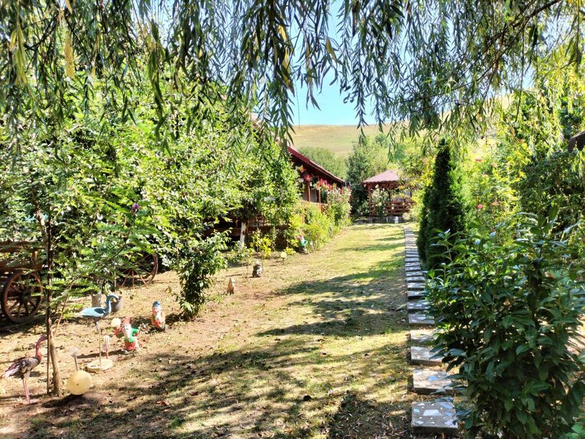 IMG20250826105545 - vara 2025