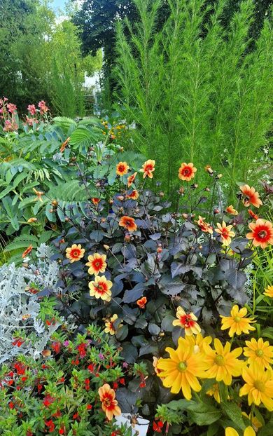  - 2025 Loki Schmidt Garten - Hamburg