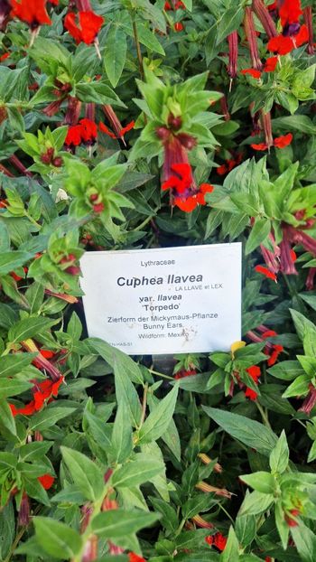  - 2025 Loki Schmidt Garten - Hamburg