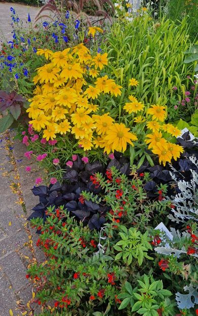  - 2025 Loki Schmidt Garten - Hamburg