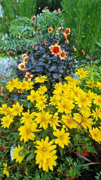  - 2025 Loki Schmidt Garten - Hamburg