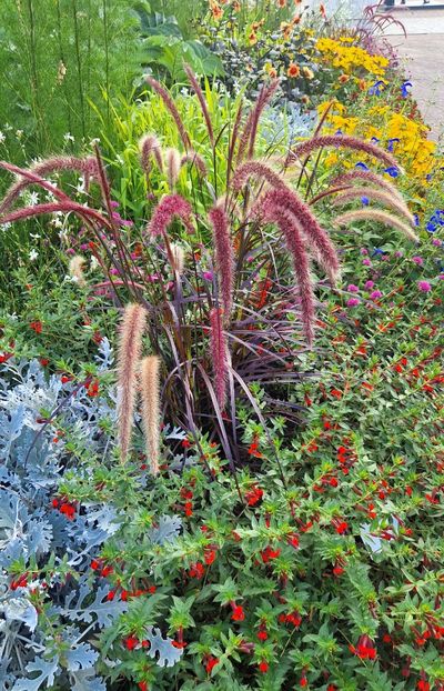  - 2025 Loki Schmidt Garten - Hamburg