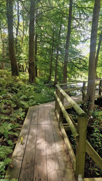  - 2025 Loki Schmidt Garten - Hamburg