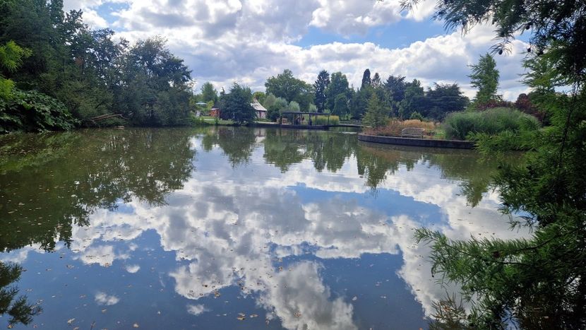  - 2025 Loki Schmidt Garten - Hamburg