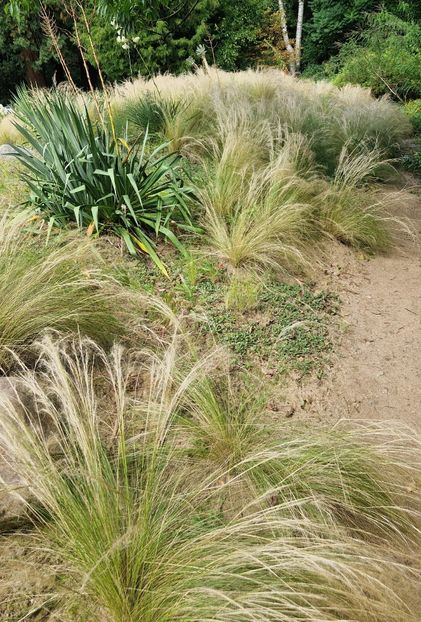  - 2025 Loki Schmidt Garten - Hamburg