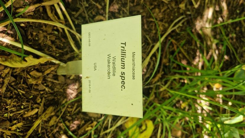  - 2025 Loki Schmidt Garten - Hamburg