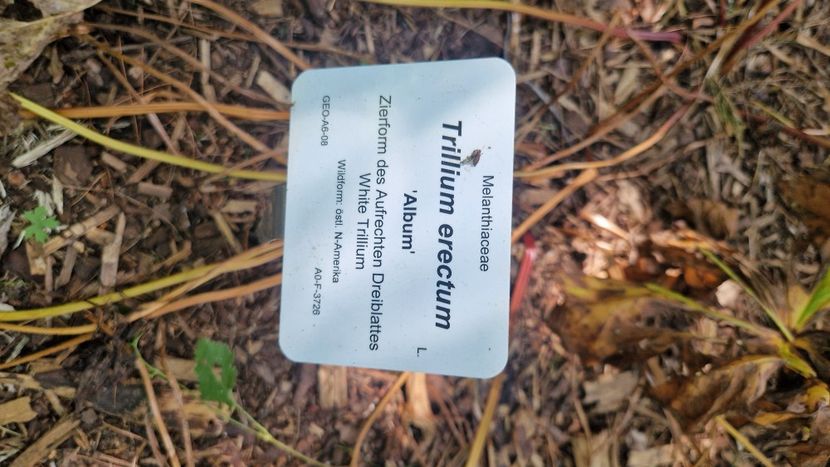  - 2025 Loki Schmidt Garten - Hamburg