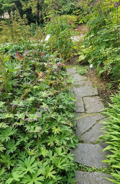  - 2025 Loki Schmidt Garten - Hamburg