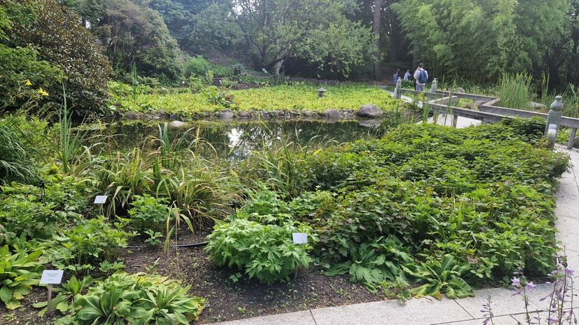  - 2025 Loki Schmidt Garten - Hamburg