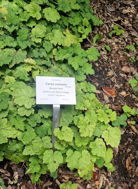  - 2025 Loki Schmidt Garten - Hamburg