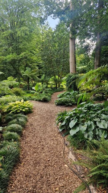  - 2025 Loki Schmidt Garten - Hamburg