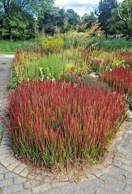  - 2025 Loki Schmidt Garten - Hamburg