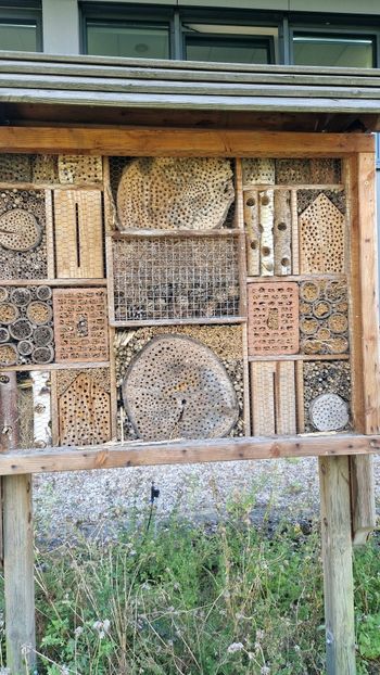  - 2025 Loki Schmidt Garten - Hamburg