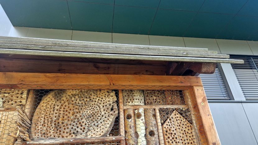  - 2025 Loki Schmidt Garten - Hamburg