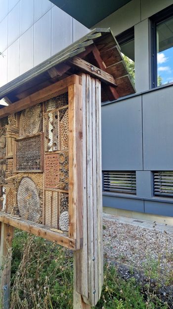  - 2025 Loki Schmidt Garten - Hamburg