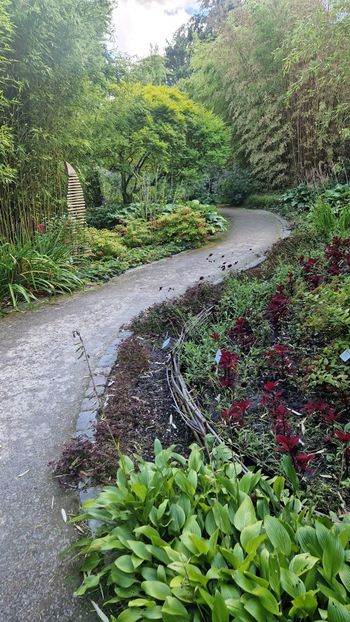  - 2025 Loki Schmidt Garten - Hamburg