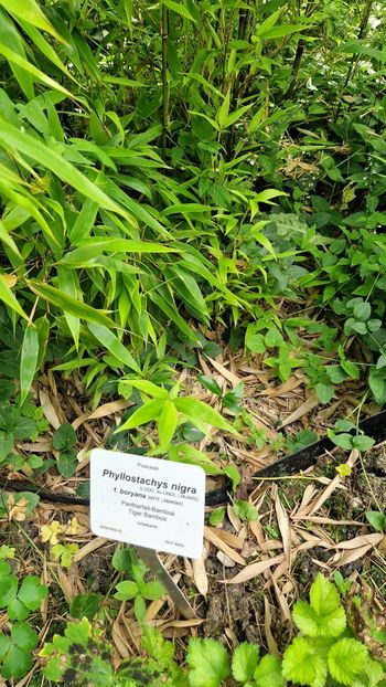  - 2025 Loki Schmidt Garten - Hamburg