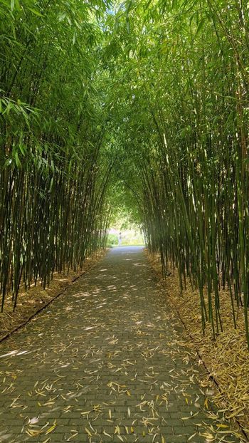  - 2025 Loki Schmidt Garten - Hamburg