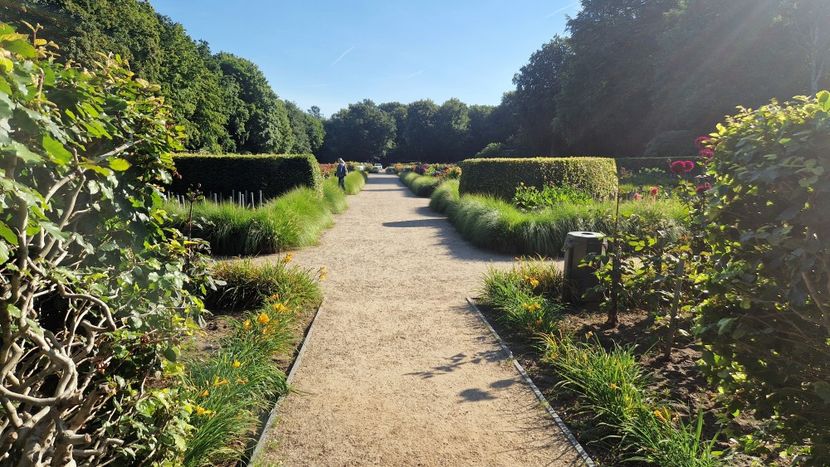  - 2025 Gradina de dalii Hamburg