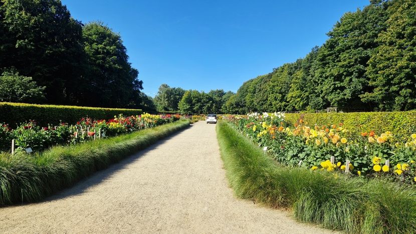  - 2025 Gradina de dalii Hamburg