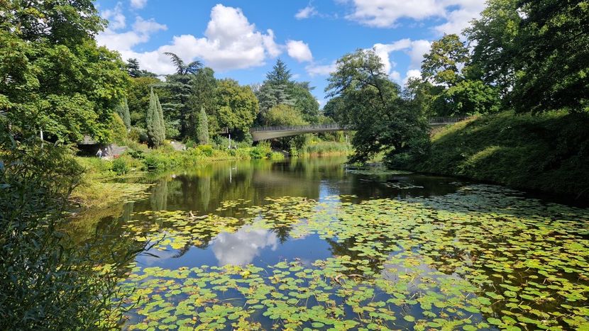  - 2025 Gradina Planten un blomen