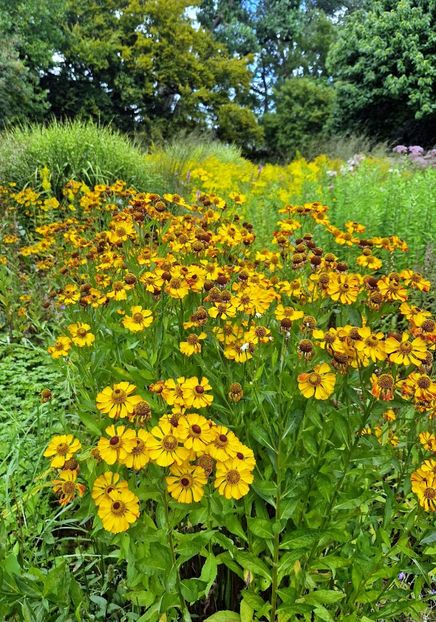  - 2025 Gradina Planten un blomen