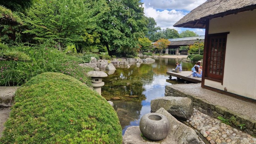  - 2025 Gradina Planten un blomen