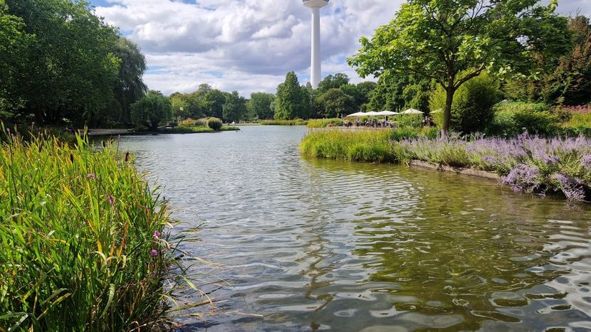  - 2025 Gradina Planten un blomen