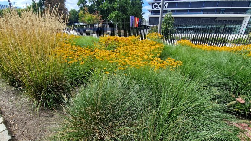  - 2025 Gradina Planten un blomen