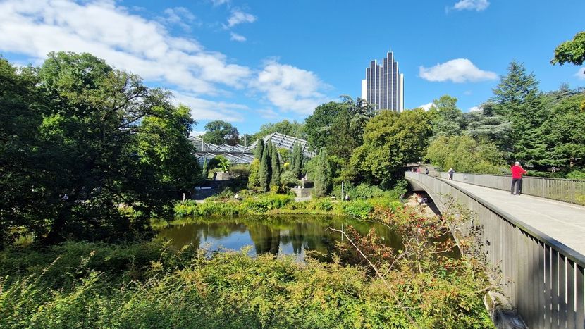  - 2025 Gradina Planten un blomen